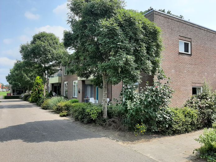 Mevrouw Winters woont aan de Sekkelanden in Boskamp. Het appartementencomplex waar zij in woont, is van Salland Wonen. De rest van het terrein behoort tot Carinova, die de blokken aanleunwoningen op hun beurt weer laten beheren door Alvast Beheer bv. vestiging Zwolle. Een complexe situatie die haar wooncomfort niet ten goede komt.