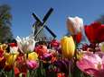 Bloemenpark Keukenhof is bomvol: ‘Kom niet meer, ook niet tijdens de paasdagen’