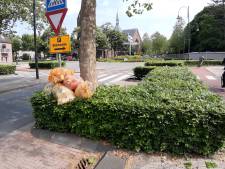 Vuilniszakken gaan hupsakee de beukenhaagjes op in Oosterhout: ‘Weinig plek in de straat’