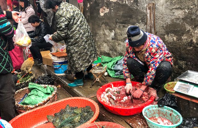 De Sea Food Whole Sale Market in Wuhan. "Door niet-gereglementeerde veehouderij-praktijken kan een zoönose (elke ziekte of infectie die van nature overdraagbaar is van gewervelde dieren op mensen, red.) zoals H5N1 in de veestapel circuleren."