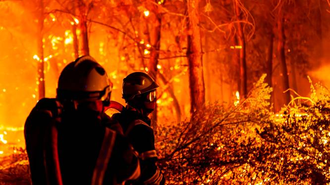 Frankrijk pakt na bosbranden 26 pyromanen op