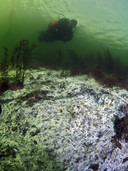 Veerse Meer