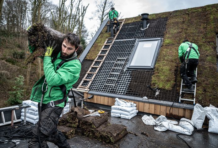 Bijna elk dak is geschikt voor ­sedum. Kies je voor kruiden en ­andere plantjes dan zul je vaker ­moeten sproeien.
