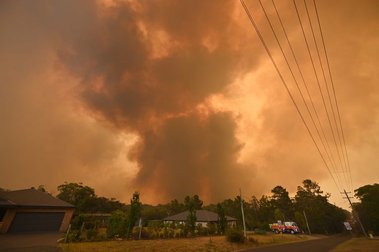 Het vuur rukt op in Bargo, ten zuidwesten van Sydney. Beeld AFP