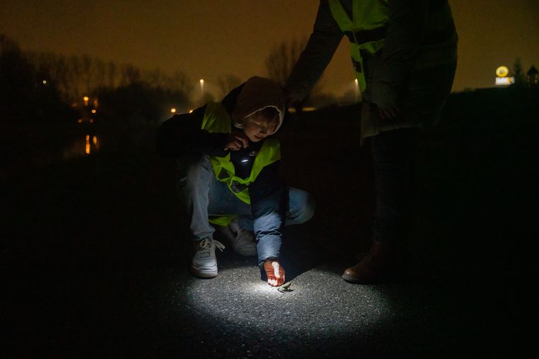 null Beeld Stephanie Broekarts