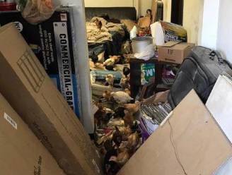 Politie vindt loods met 2.000 verwaarloosde en dode dieren in Californië