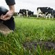 Opinie: het debat over landbouw is niet gebaat bij polarisatie
