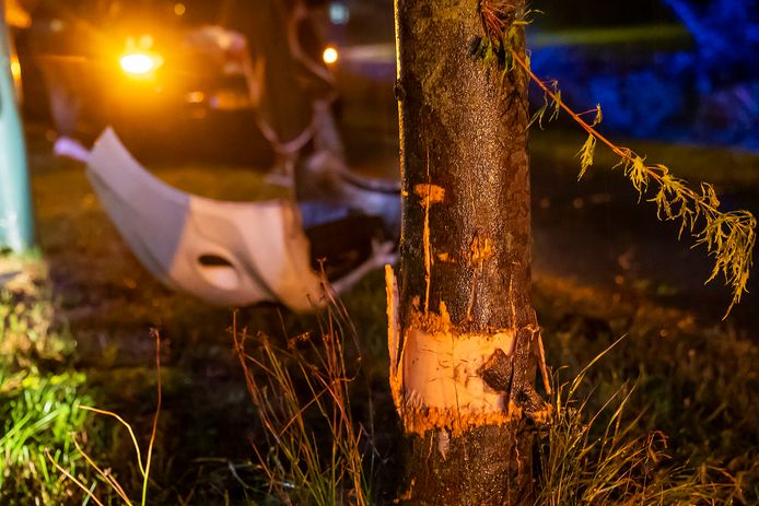 De auto raakte van de weg en kwam tot stilstand tegen een boom in Oss.