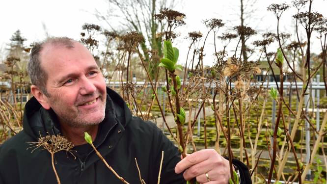 Zo voorkom je een slagveld in je tuin als het straks tóch flink gaat vriezen