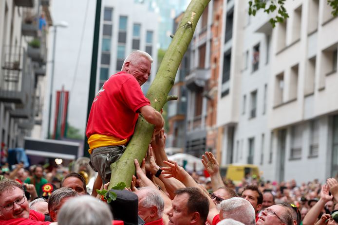 Le Meyboom a été planté au coin de la rue des Sables et de la rue du Marais à Bruxelles.