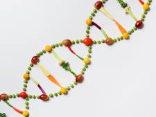 Le test ADN d’un Américain lui révèle qu’il a 18 demi-frères et sœurs