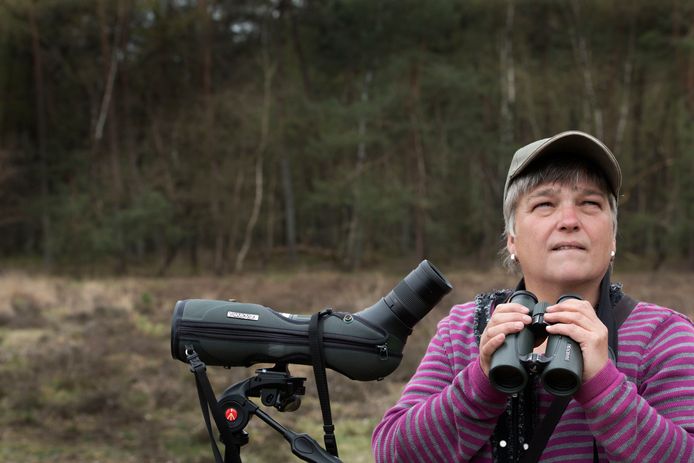 Vogels spotten iets voor oude mannen? Welnee! Zo word je ...