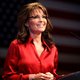 Ophef over zoontje Sarah Palin