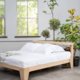 BLOG: bezoek de Dutch Design Week