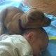 Zo lief: puppy valt in slaap op baby