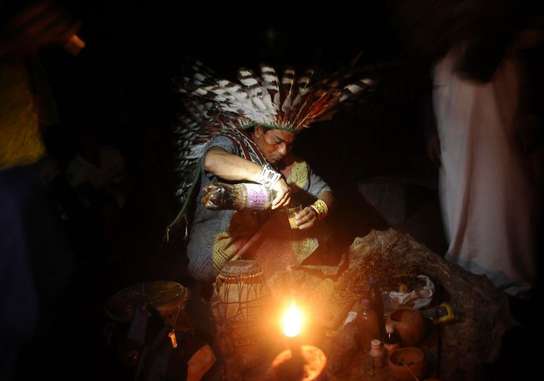 Een Braziliaanse Huni Kui-indiaan maakt een dosis ayahuasca klaar. Beeld REUTERS