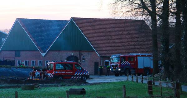 Brand in schuur met kleinvee in Beuningen | Dinkelland - Tubantia