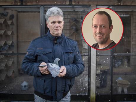 Hoe de duivenmaffia toesloeg in Den Ham, Eurosped zichzelf opblies & Twenterand beloftes brak