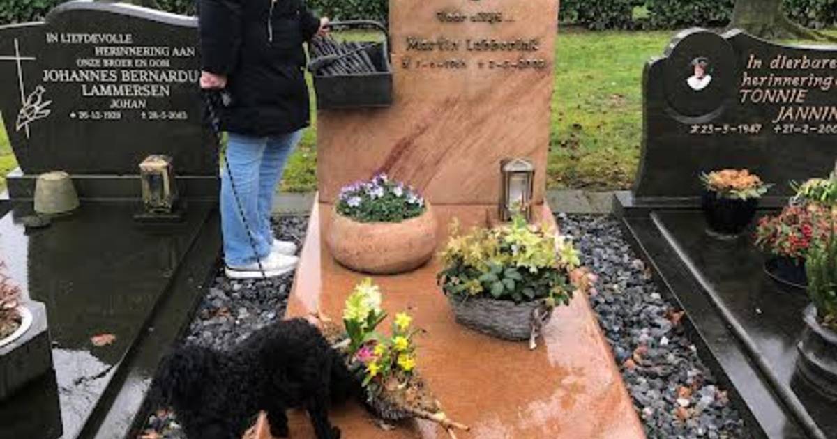 Graf in Bentelo is net als Martin zelf: groot en robuust; een ongelukkige val werd hem fataal