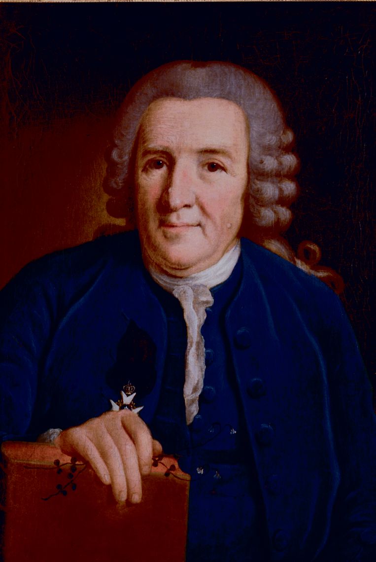 Carl Linnaeus. Beeld 