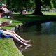 Mogelijke uitbraak botulisme in Westerpark, watervogels massaal ziek