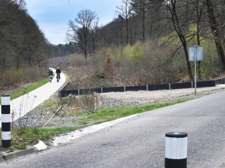 Zandhagedissen massaal platgereden op fietspad in  Groesbeekse bos: meer dan helft dieren is verdwenen 