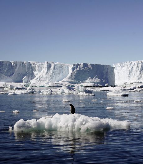 Eerste bewijs van microplastics in nieuwe sneeuw Antarctica