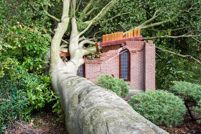 Boom verwoest kapel in Lepelstraat, het dorp is er kapot van: ‘Dit doet echt pijn’