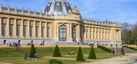 ‘Congo wordt eigenaar van alle roofkunst in Belgisch museum’
