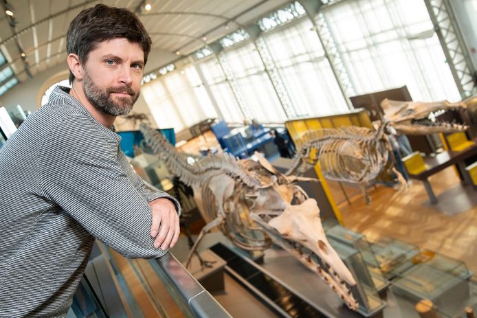 Olivier Lambert, paleontoloog aan het KBIN en co-auteur van de studie.