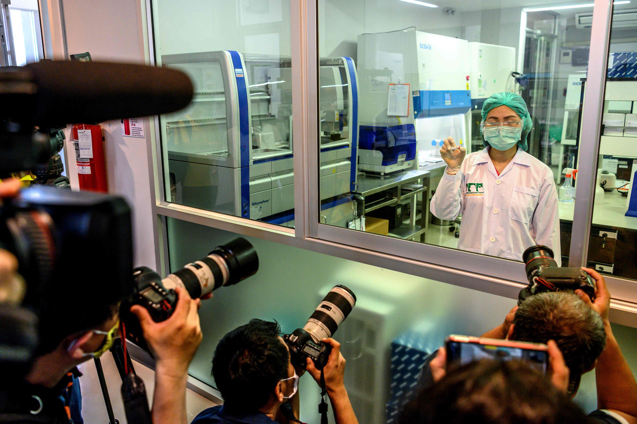 Een laborant van de Chulalongkorn-universiteit in Saraburi, Thailand toont eind mei een coronavaccin dat op apen zal worden getest. Beeld AFP