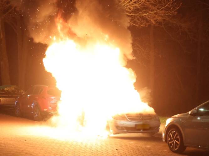 Auto gaat in vlammen op in Den Haag: voertuig total loss