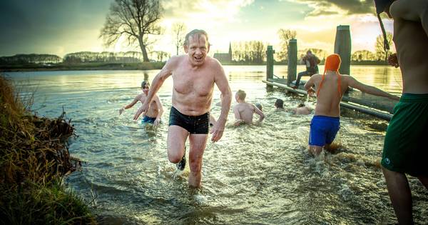 Met een duik het nieuwe jaar in