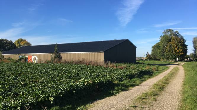 Gezamenlijke boerderij in Park Lingezegen start komend voorjaar: ‘Maar verwacht niet gelijk volle tassen met groenten’