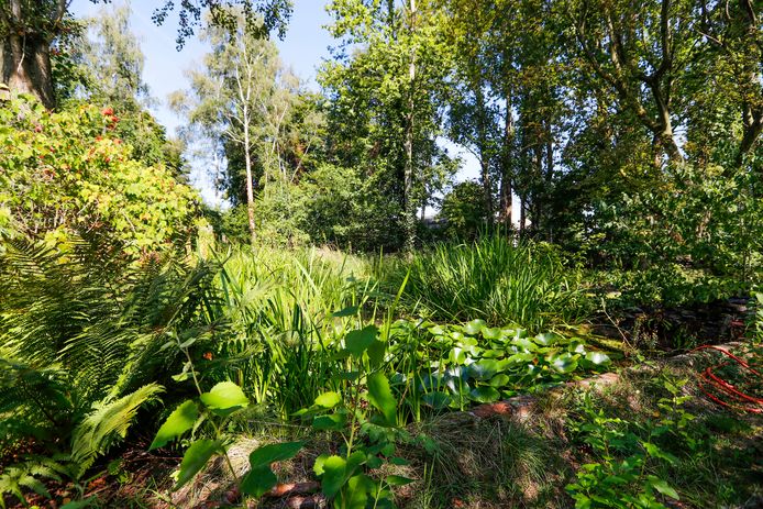 De Vergeten Tuin in Eindhoven.