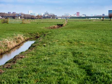 Met dit plan willen ontwikkelaars snel 25.000 woningen bouwen in polder Rijnenburg