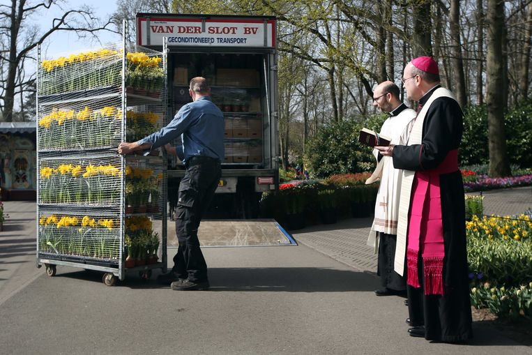 Hans van den Hende, de rooms-katholieke bisschop van Rotterdam, zegent in de Keukenhof een vrachtwagen met bloemen voordat die vertrekt naar het Vaticaan voor de paasviering met paus Franciscus.  Beeld ANP