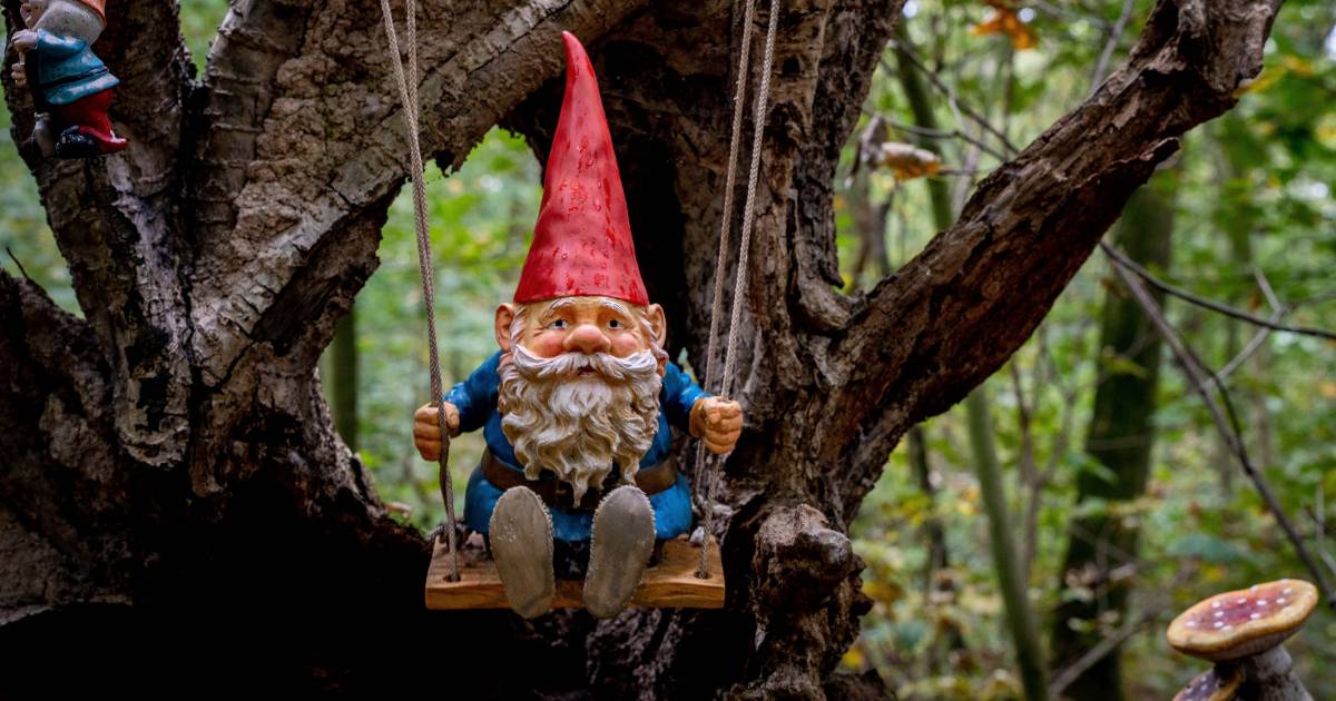 Weer volop kabouters in het bos in Horssen: 'Er hangen nu camera's' - De Gelderlander