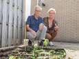 Twijfels over handelen politie bij verwijderen wietplanten uit tuin ouder echtpaar in Hasselt  
