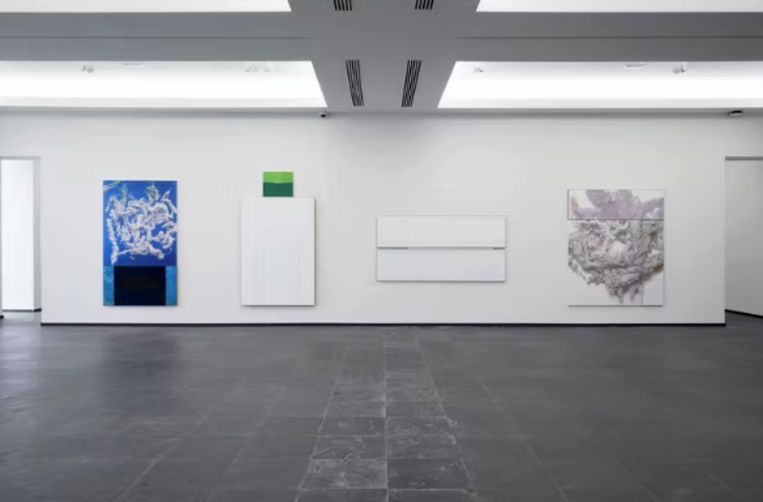 Werk  van N. Dash  Beeld Dirk Pauwels