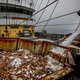 Visserij in het IJsselmeer wordt drastisch teruggeschroefd