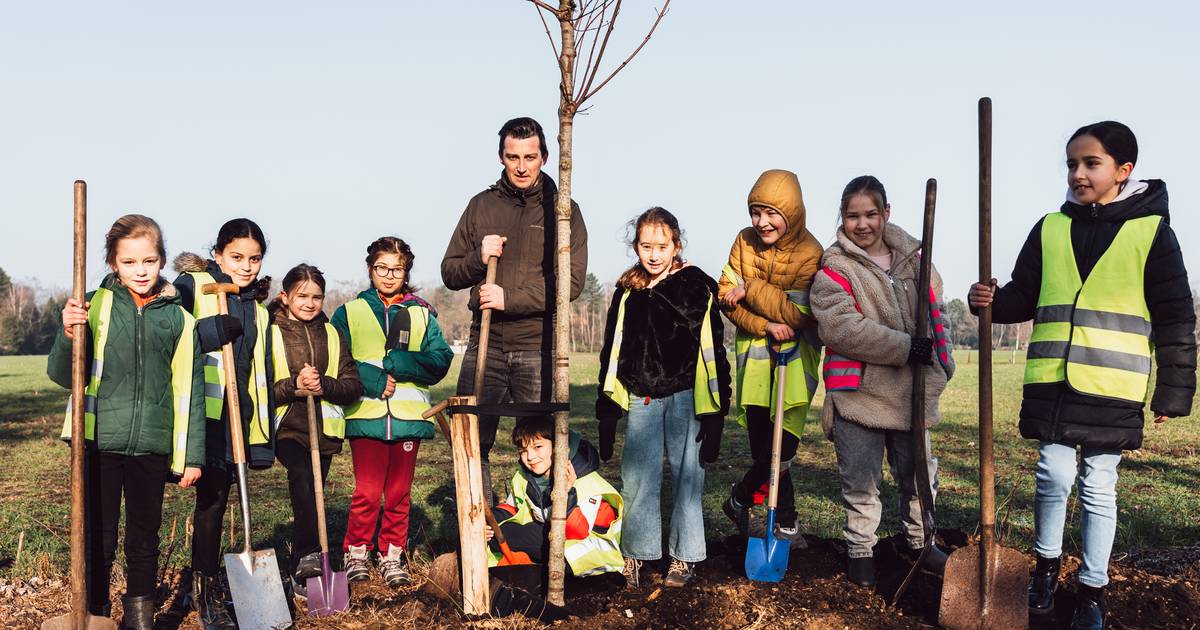 Leerlingen Klim Op en Mater Dei planten samen 160 bomen