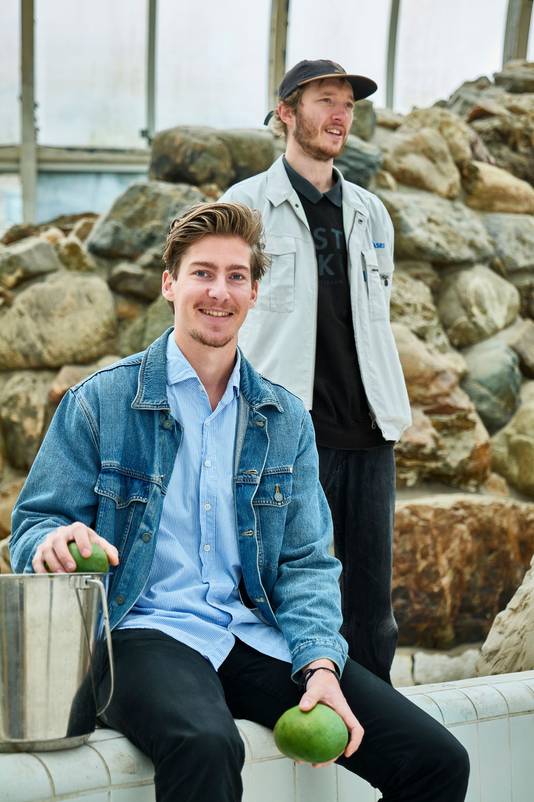 Hugo en Koen maken leer van afgedankt fruit: ‘Wij willen afval waarde ...