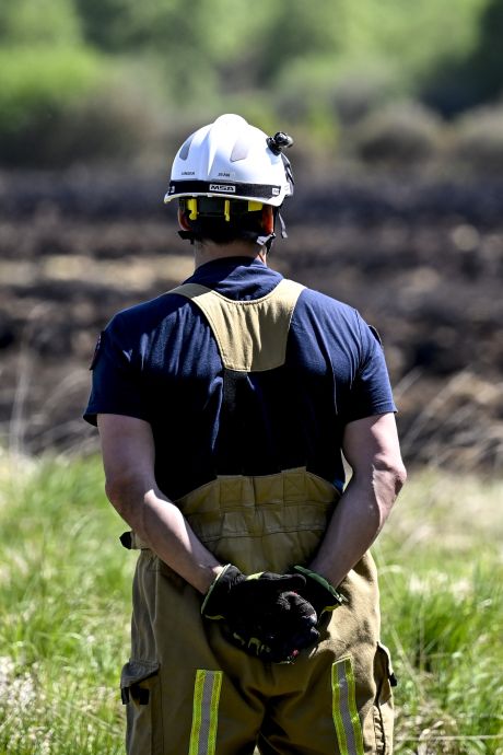 Plus de foyer actif dans les Fagnes: la Province lève la phase provinciale