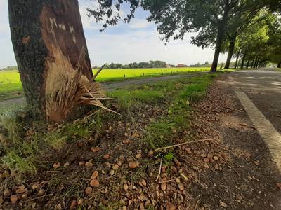Plek van ‘eikeltjesongeval’ in Herpt was overdag nog geveegd