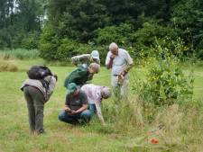 Jarige natuurvereniging Lelystad geeft instapcursus over de natuur van Flevoland