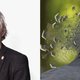 Het kroonvirus vliegt, maar aan de kroonduif is het luchtruim niet besteed