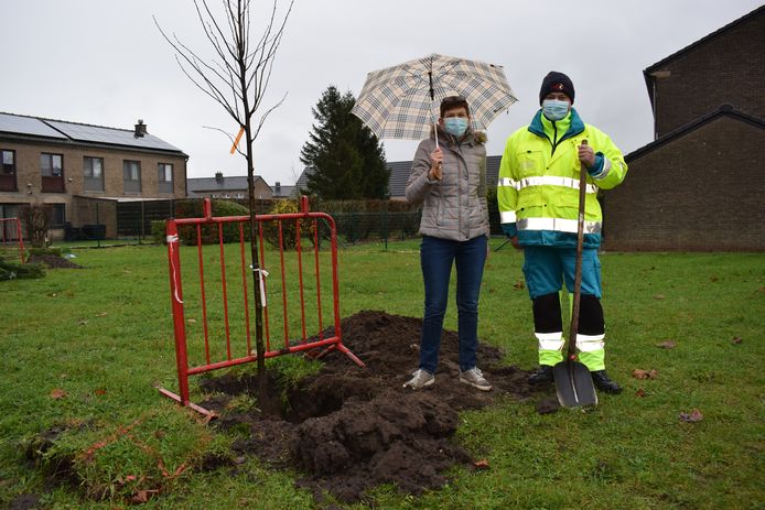 Ook de ambulanciers kregen hun eigen boom.