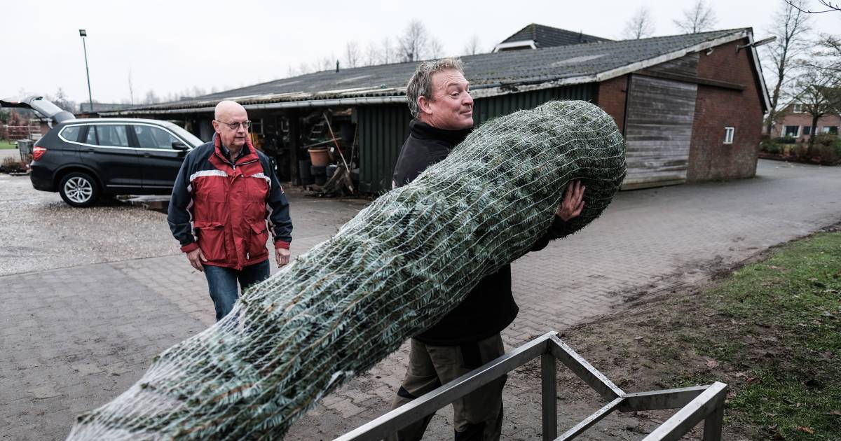 Voor de bekende ‘bomen van Janssen’ uit Mariënvelde moet je nu naar Zieuwent