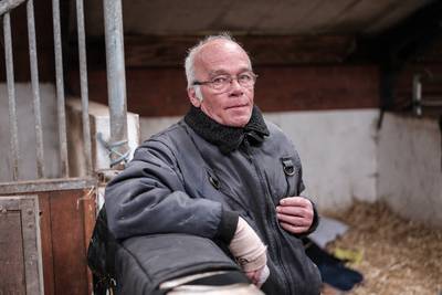 Verwaarloosde paarden éindelijk ondergebracht, maar Gerrit zoekt verder: ‘Ik kan ze nu geen aandacht